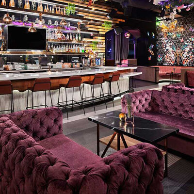 Dobra cena Velvet Purple Club Lounge Sofa Classic Button Tufting Bistro Sofa w Internecie